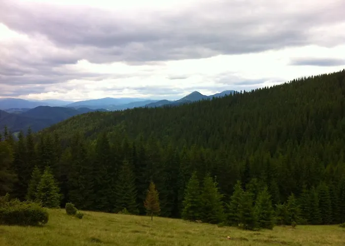 Goryanka Family Holiday home *